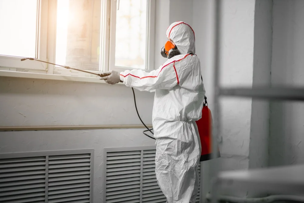 Professional mold remediation services in Cadillac, MI